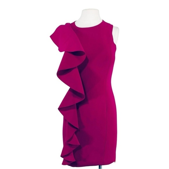 NEW Cinq A Sept Kimberlin Sleeveless Ruffle Dress Size 2 - Picture 2 of 9